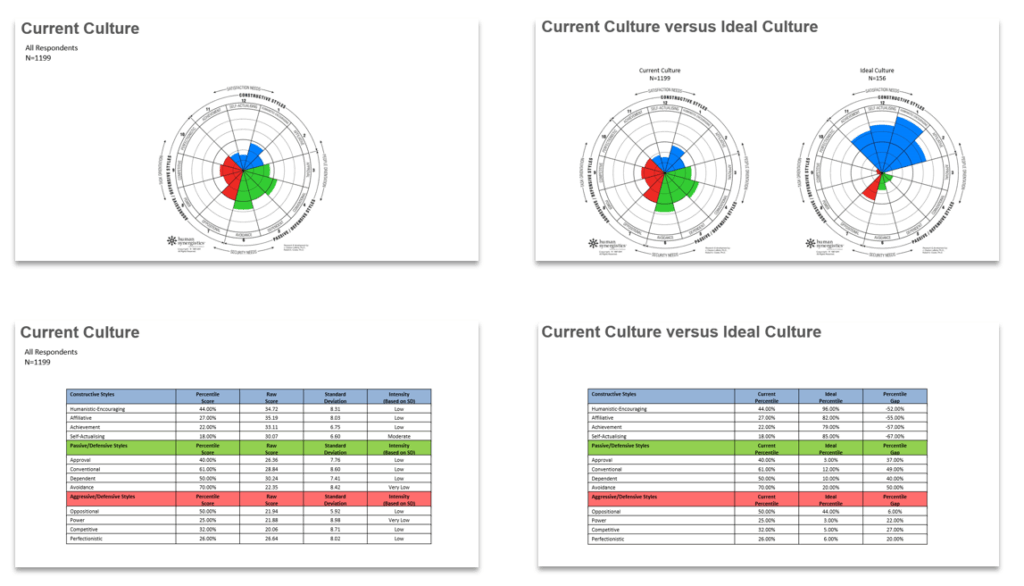 OCI Report Current Culture Pages
