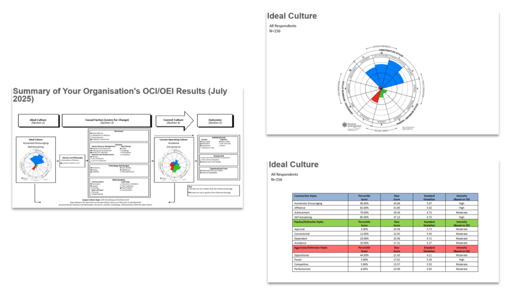 OCI Ideal Report Pages