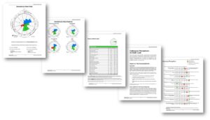 Life Styles InventoryTM (LSI) 360 Feedback